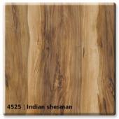 4525 — Indian Shesman