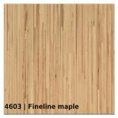 4603 — Fineline maple