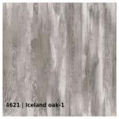 4621 — Iceland oak 1
