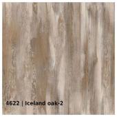 4622 — Iceland oak 2