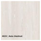 4624 — Asla chestnut